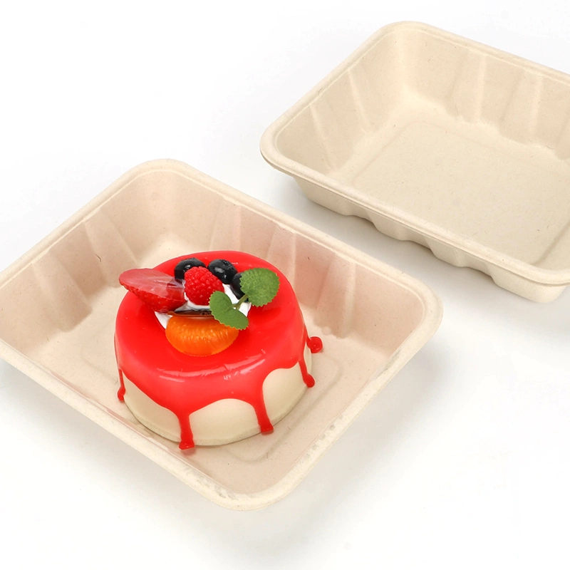 Gamelle jetable favorable à l'environnement biodégradable pour les fruits Ntqw95025 Ut175 de salade