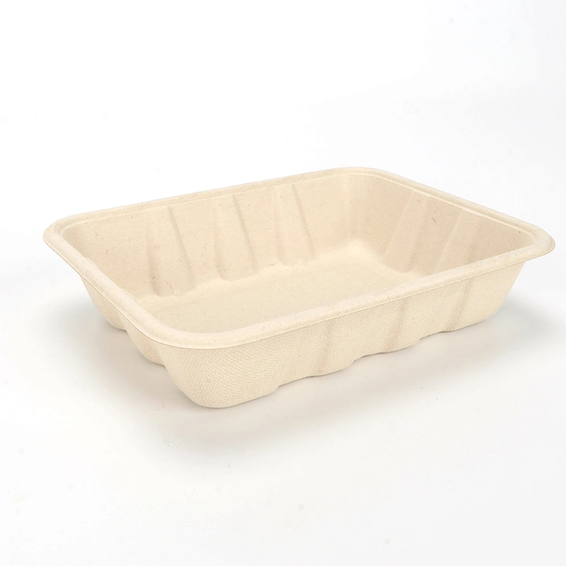 Gamelle jetable favorable à l'environnement biodégradable pour les fruits Ntqw95025 Ut175 de salade