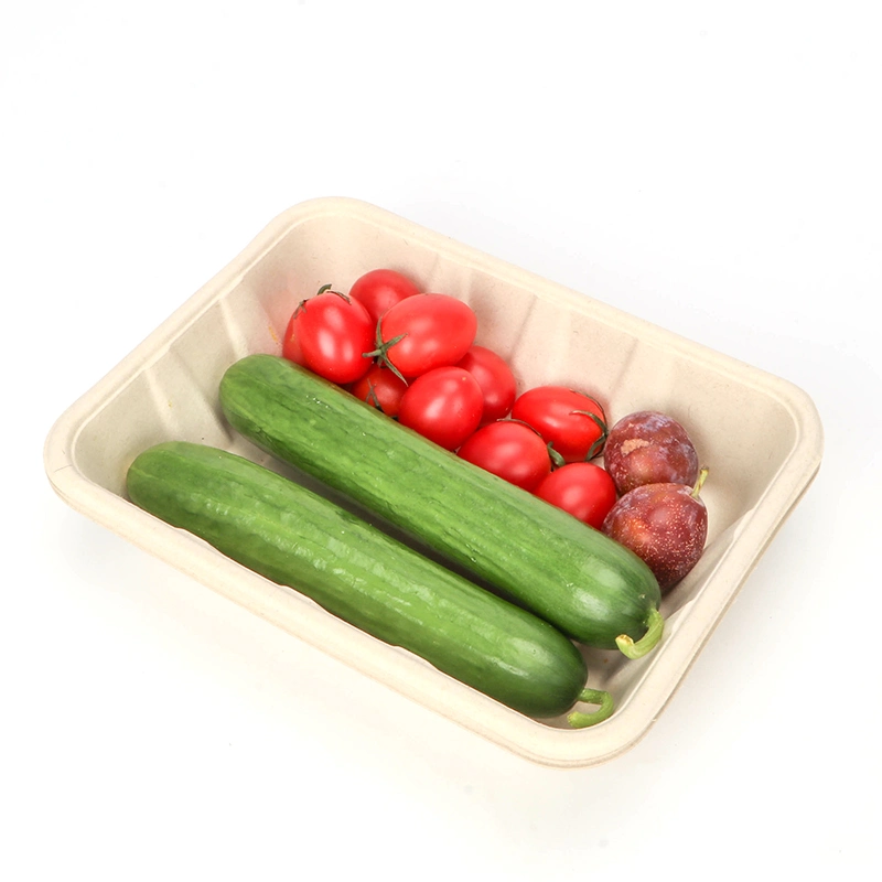 Gamelle jetable favorable à l'environnement biodégradable pour les fruits Ntqw95025 Ut175 de salade