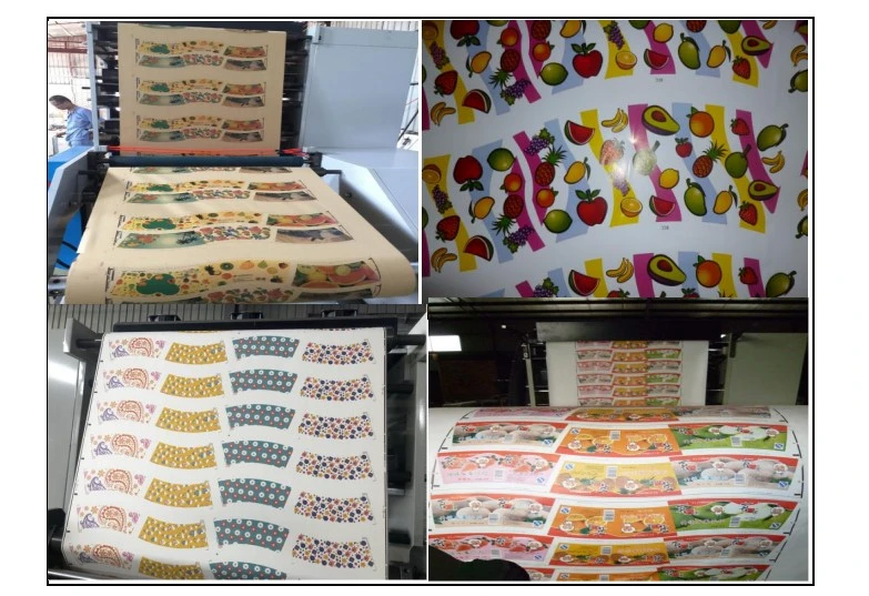 Nice -5colors Roll Paper Sticker Label Flexo Printing Machine
