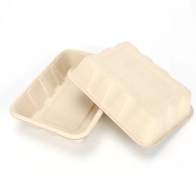 Sac de papier médical biodégradable ultra-rapide faisant la machine pour les gamelles jetables favorables à l'environnement