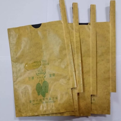 Sac de papier d'emballage de fruit de mangue rendant la machine 3KW automatique