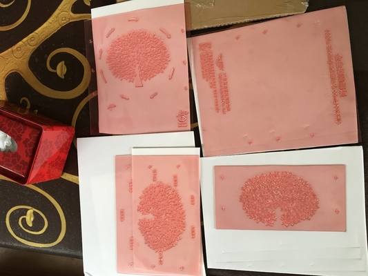 Flexo de haute résolution imprimant des plats de Shimei Digital de représentation de panneau de résine