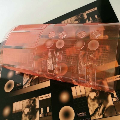 Flexo de haute résolution imprimant des plats de Shimei Digital de représentation de panneau de résine