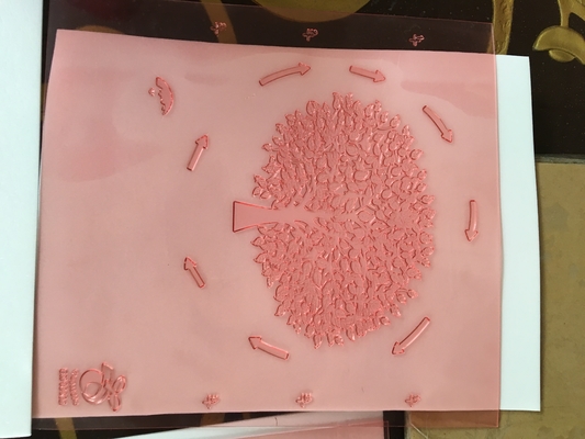Flexo de haute résolution imprimant des plats de Shimei Digital de représentation de panneau de résine