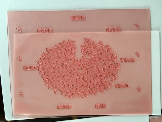 Flexo de haute résolution imprimant des plats de Shimei Digital de représentation de panneau de résine