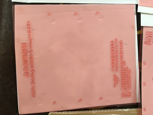 Flexo de haute résolution imprimant des plats de Shimei Digital de représentation de panneau de résine
